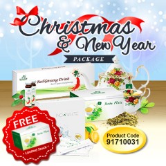 Christmas & New Year Package VI